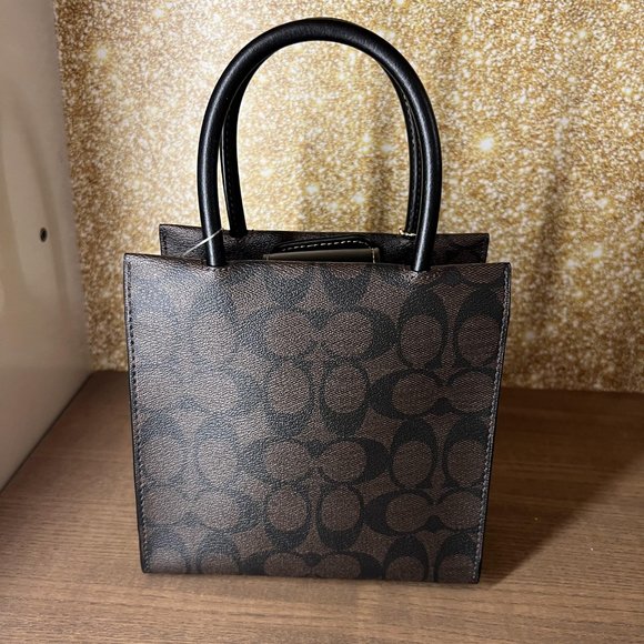 Coach NWT  CE593 Mini Cally Crossbody In Signature Canvas With Ski Patches - Picture 3 of 8